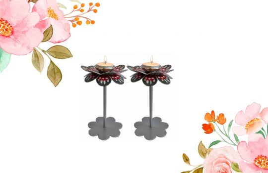 פמוטי יודאיקה2